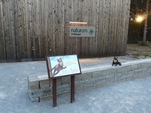 Mården Morris guidar dig runt i Trollskogen
